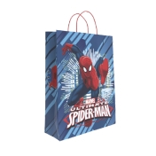 Торбичка “ SPIDERMAN 1” - L