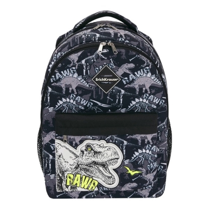 Раница ErichKrause EasyLine® 20L Dinosaur Park, с 2 отделения