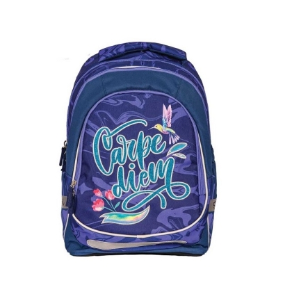 Анатомична раница SCOOL® LIGHT CARPE DIEM, 19L